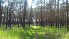lesom bikom