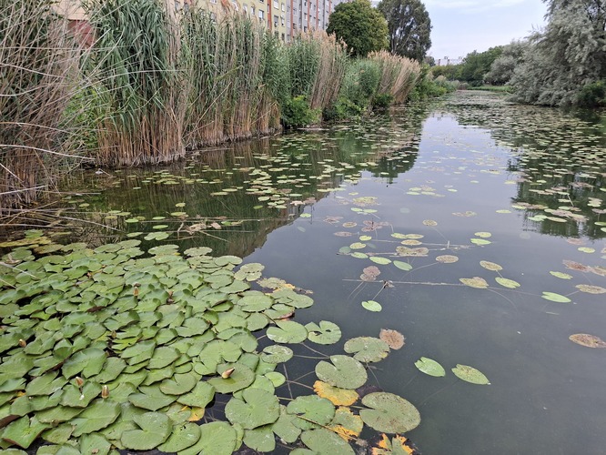 EXOTIKA, Petržalka 