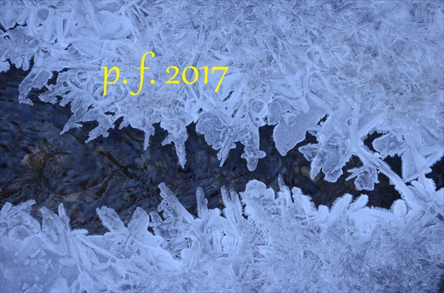 p. f. 2017