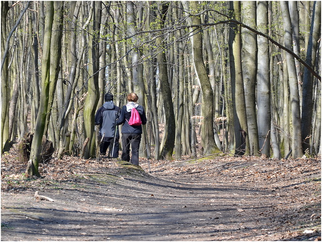 Nordic Walking