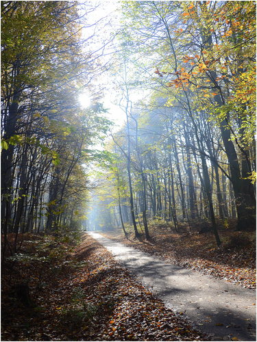 Lesná ...