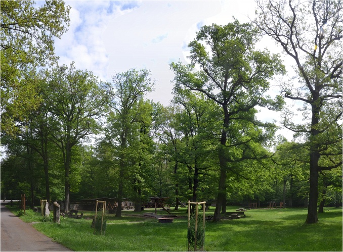 Kačín