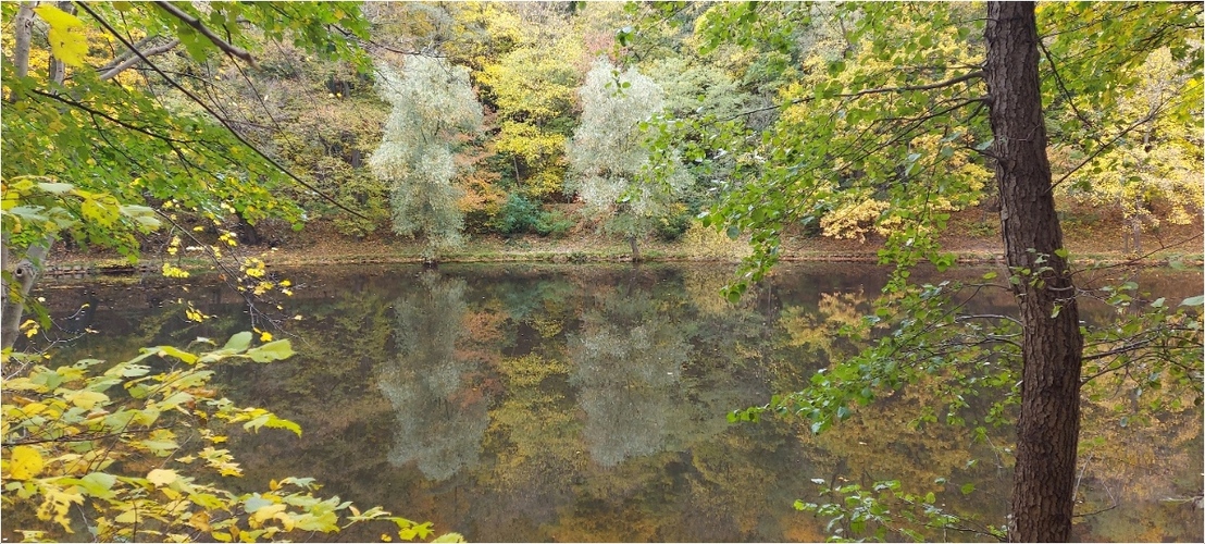 Pano