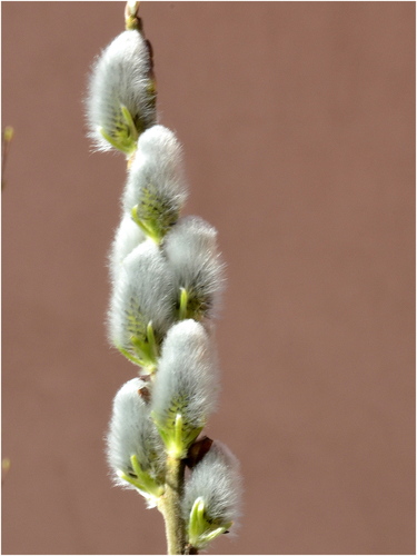 Blíži sa Veľká noc