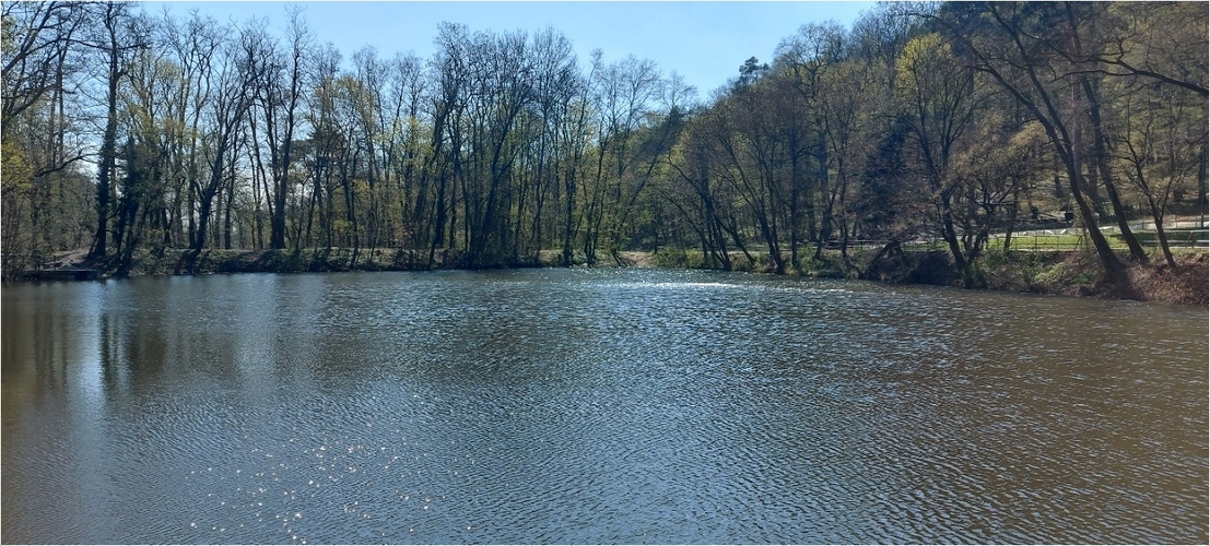 Zrkadlenie na jazere