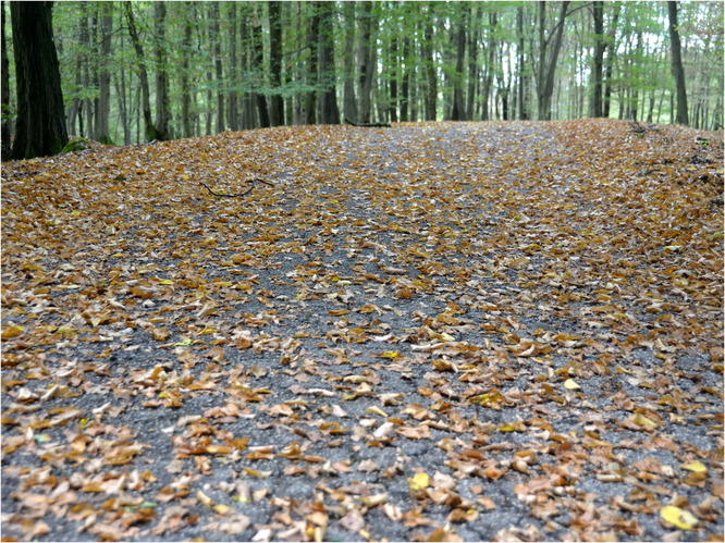 Že by jeseň