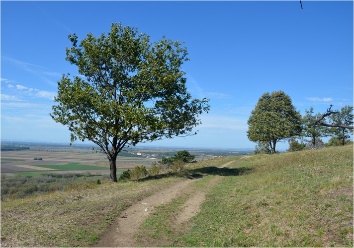 Na Kobyle