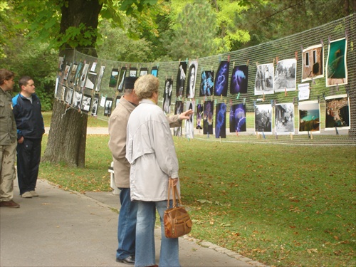 výstava foto v parku