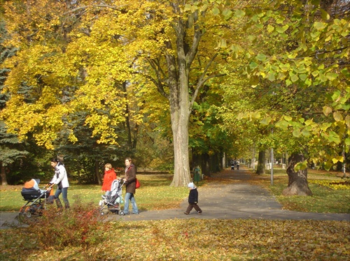 jesenným parkom