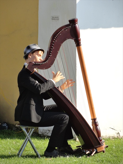 Harfo-hranie