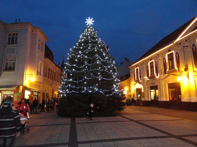 Vianočný strom(ček)v Piešťanoch