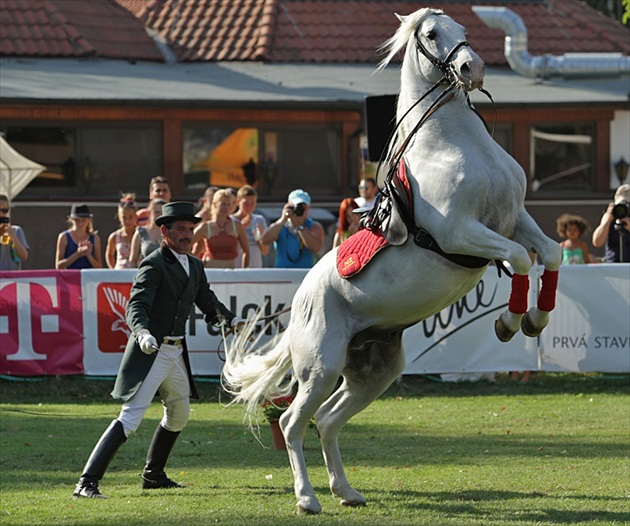 Začiatok Kaprioly