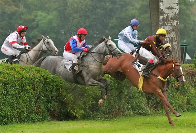 Steeplechase