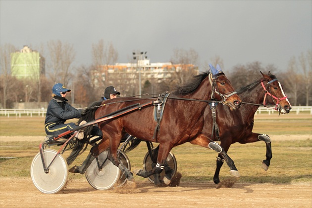 Rozcvička