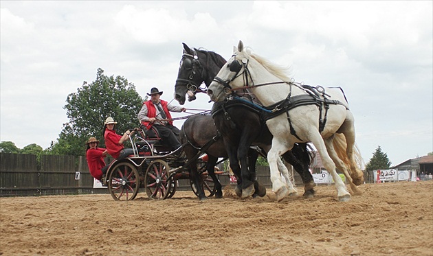 Ranč Ladná