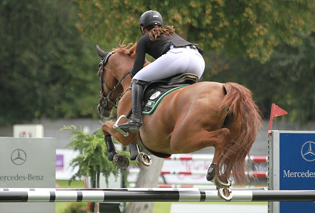 Deň prvý - GP CSIO FEI