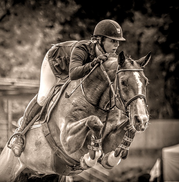 Zajtra Furusiyya CUp