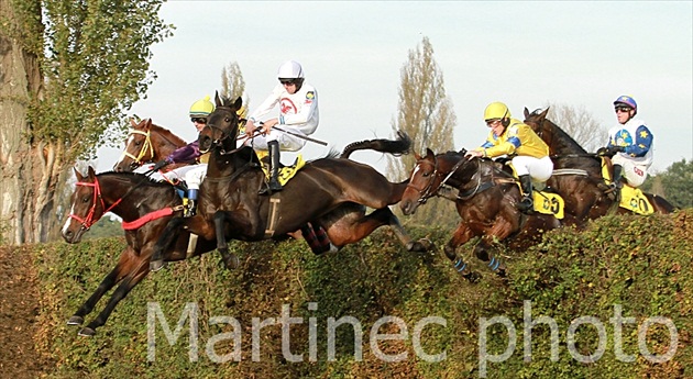 Taxis - Velka pardubicka