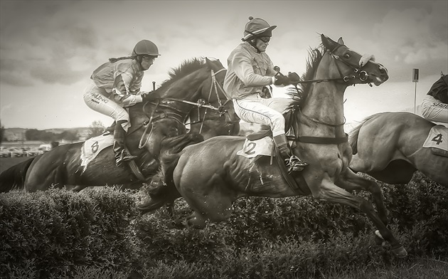 Brno-steeplechase