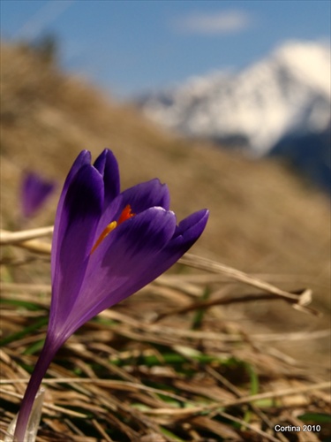 Jar v horách