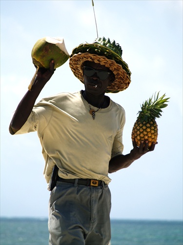 ananas kokos