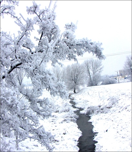 Zima 2010 :) všetko v bielom
