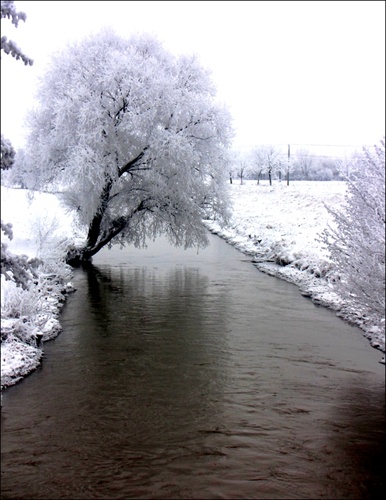 Zima 2010 :) všetko v bielom