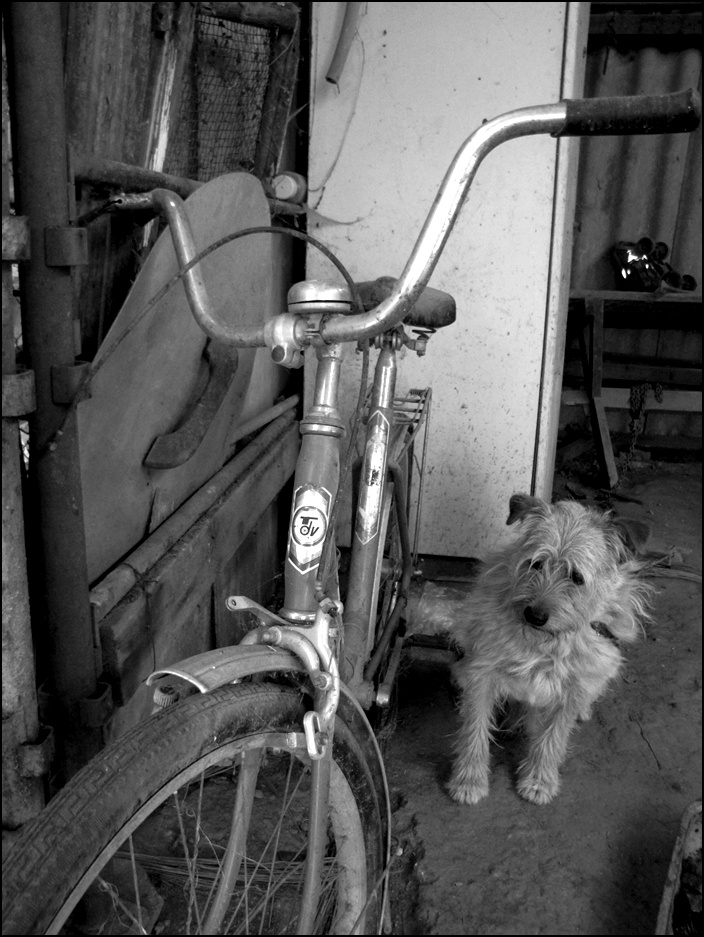 Ricky with bike..:P