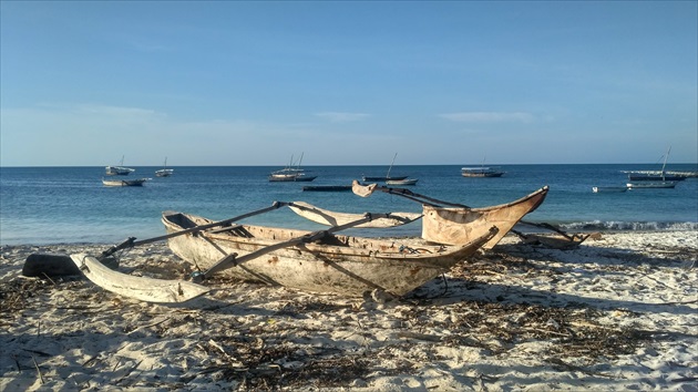 Zanzibar#4