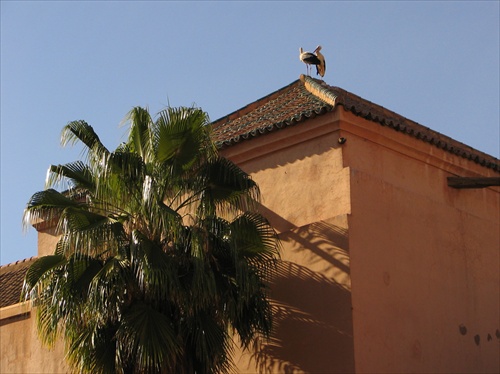 mystický marrakesh III