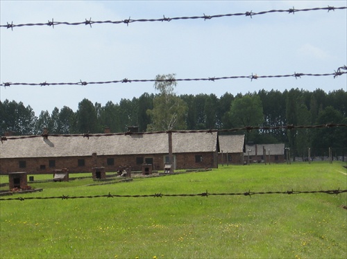 Aushungerungslager Birkenau