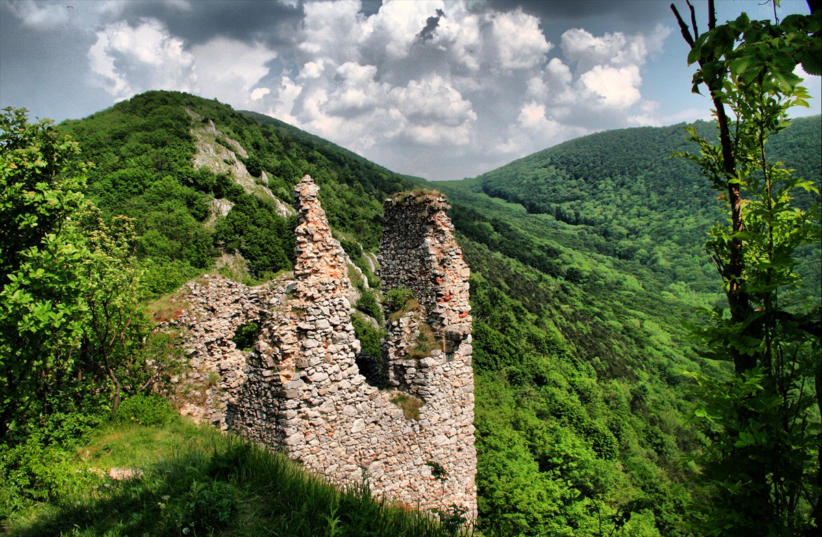 Zrúcanina hradu Ostrý Kameň v Malých Karpatoch