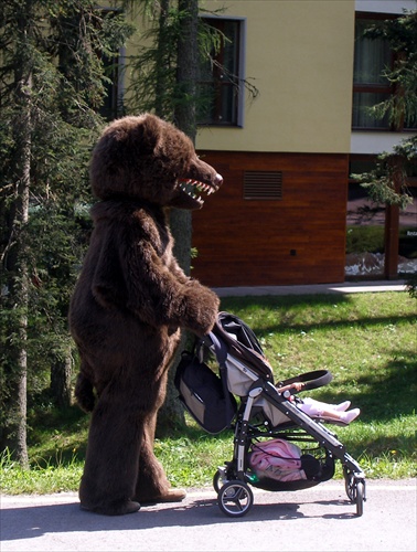 Medveď v Tatrách 2