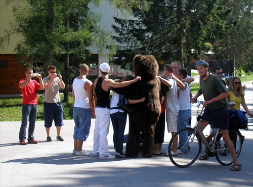 Medveď v Tatrách 4