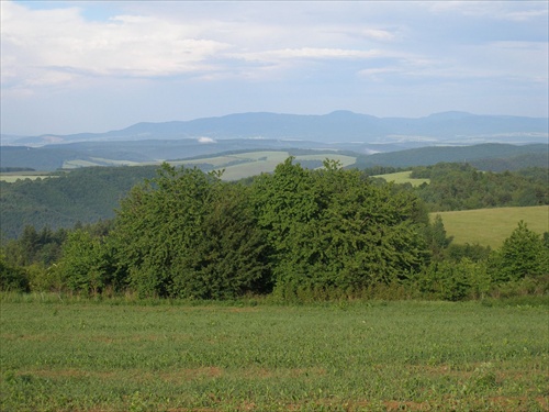 Šarišská vrchovina