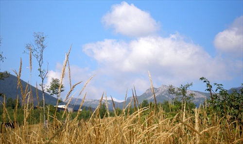Vysoké Tatry