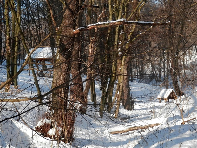 Les pod snehom