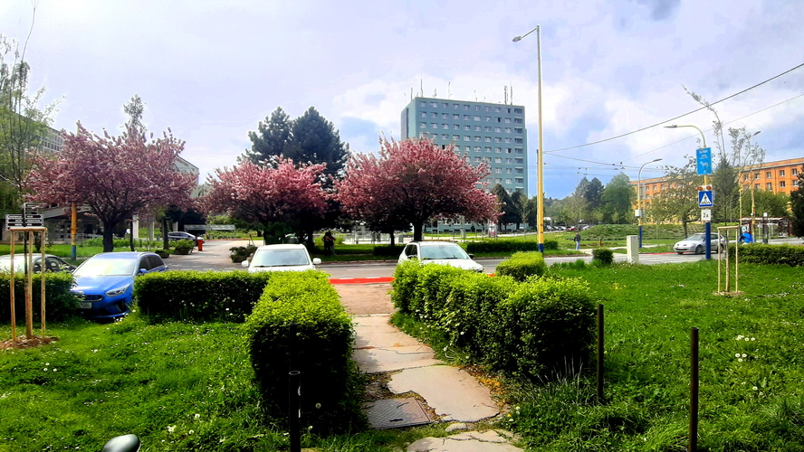 Univerzita v Prešove