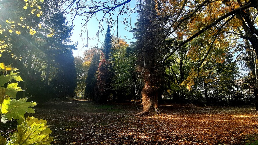 V Staromestskom parku