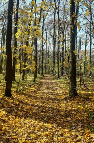 Jeseň v Slanských vrchoch