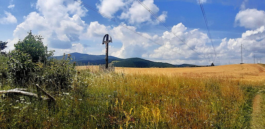 Pred žatvou
