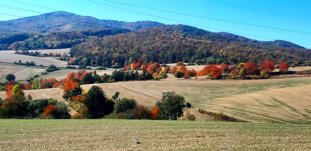 Šarišská vrchovina - jeseň