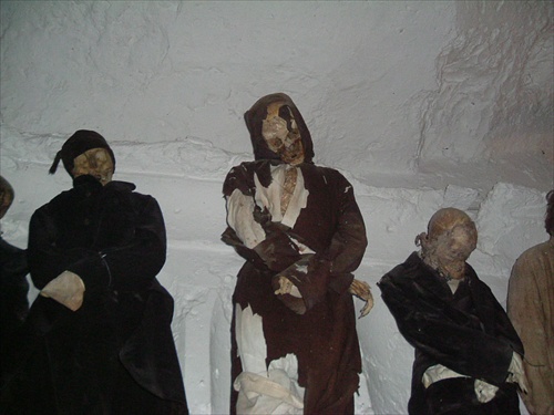 Mumie mnichov