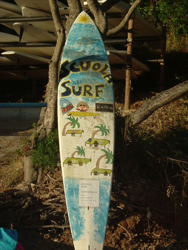 Skola surfu