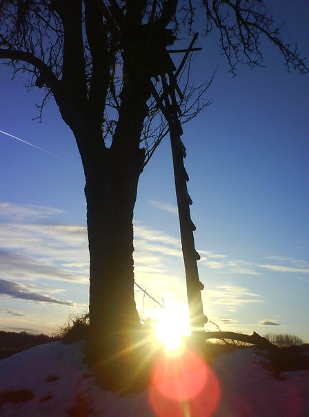 Strom, rebrík a slnko