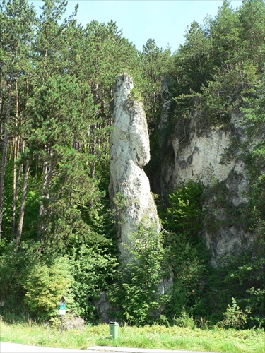 Pluvsianska skalna Ihla