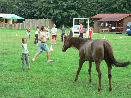 Kôň a deti