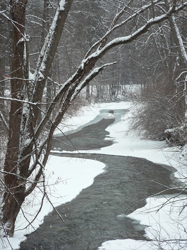 Zima na rieke