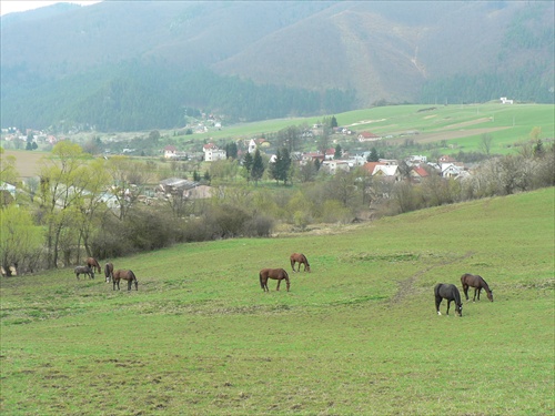 Poluvsianska dolina