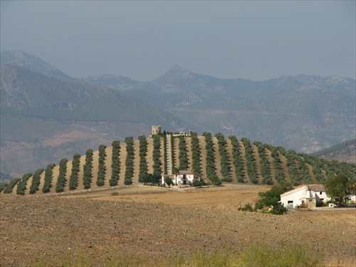 Olivové kráľovstvo, Španielsko 2007